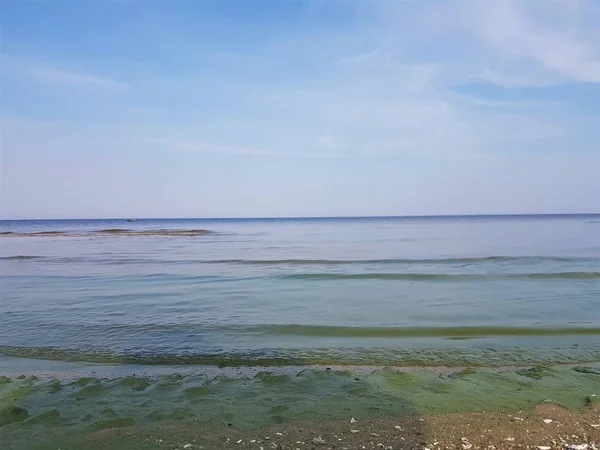 Playa en el embalse Rybinsk, Región de Yaroslavl, Rusia . —  Fotos de Stock