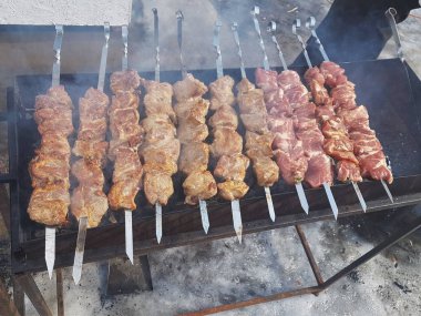 Sulu içinde Marine baharat et kebap şişleri üzerinde pişmiş ve bir yangın ve açık bir günde karlı kış doğada kömür barbekü ızgara üzerinde kızarmış
