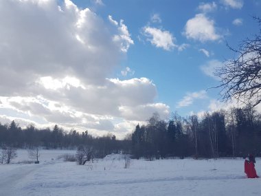 Kış manzarası, ağaçlar mavi gökyüzünde bulutlar karşı karda.