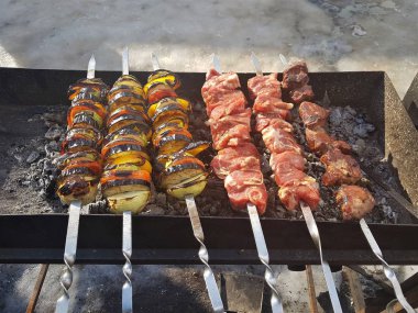 Sulu içinde Marine baharat et kebap şişleri üzerinde pişmiş ve bir yangın ve açık bir günde karlı kış doğada kömür barbekü ızgara üzerinde kızarmış