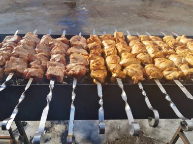 Sulu içinde Marine baharat et kebap şişleri üzerinde pişmiş ve bir yangın ve açık bir günde karlı kış doğada kömür barbekü ızgara üzerinde kızarmış