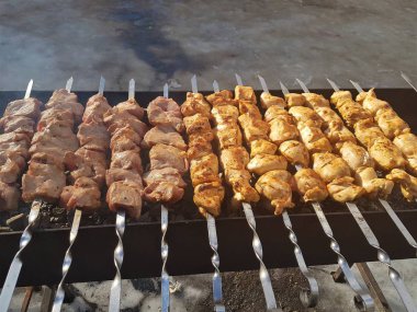 Sulu içinde Marine baharat et kebap şişleri üzerinde pişmiş ve bir yangın ve açık bir günde karlı kış doğada kömür barbekü ızgara üzerinde kızarmış