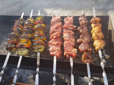 Sulu içinde Marine baharat et kebap şişleri üzerinde pişmiş ve bir yangın ve açık bir günde karlı kış doğada kömür barbekü ızgara üzerinde kızarmış