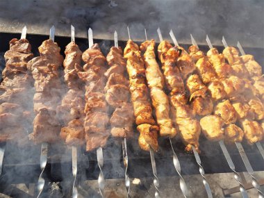 Sulu içinde Marine baharat et kebap şişleri üzerinde pişmiş ve bir yangın ve açık bir günde karlı kış doğada kömür barbekü ızgara üzerinde kızarmış