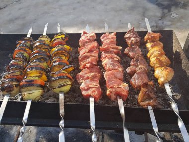 Sulu içinde Marine baharat et kebap şişleri üzerinde pişmiş ve bir yangın ve açık bir günde karlı kış doğada kömür barbekü ızgara üzerinde kızarmış