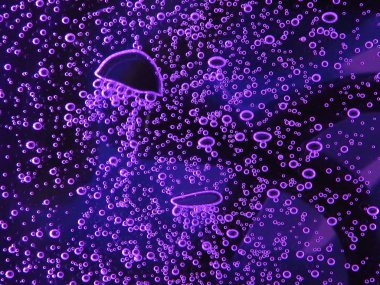 Kapatmak - yukarıya-in farklı hava kabarcıkları, su koyu arka plan üzerinde izole renkler