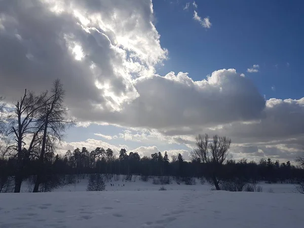 Paesaggio invernale, alberi nella neve contro il cielo blu tra le nuvole . — Foto Stock