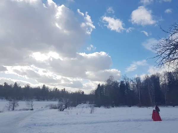 Paesaggio invernale, alberi nella neve contro il cielo blu tra le nuvole . — Foto Stock