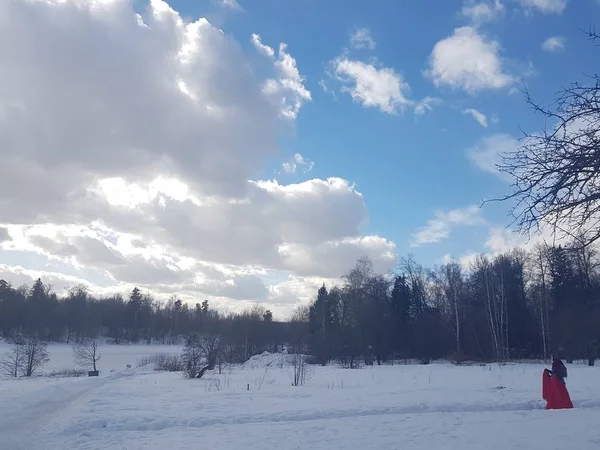 Зимний пейзаж, деревья в снегу против голубого неба в облаках . — стоковое фото