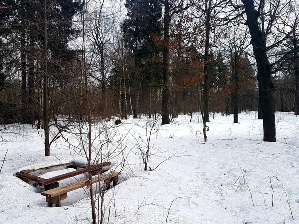 Tavolo e panca in legno appassiti nella neve nel bosco . — Foto Stock