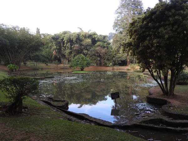 Koninklijke Botanische tuin Kandy Sri Lanka, heldere zonnige dag, in groene bomen. — Stockfoto