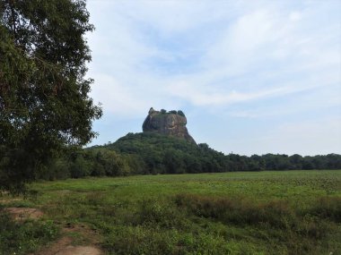 Yakın çekim, yeşilliklerle, Sri Lanka, açık bir günde Sigiriya aslan dağ kale görünümü.