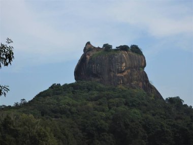 Yakın çekim, yeşilliklerle, Sri Lanka, açık bir günde Sigiriya aslan dağ kale görünümü.