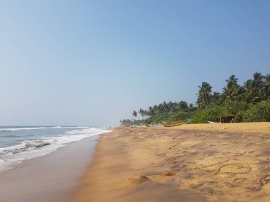 Sandy beach palm ağaçlar ve dalgalar ile okyanus plaj, Sri Lanka