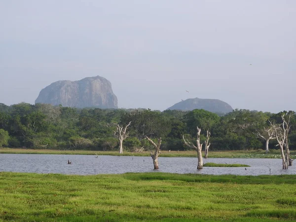 Danau, burung, alam dan lanskap di Taman Nasional Yala, Sri Lanka — Stok Foto