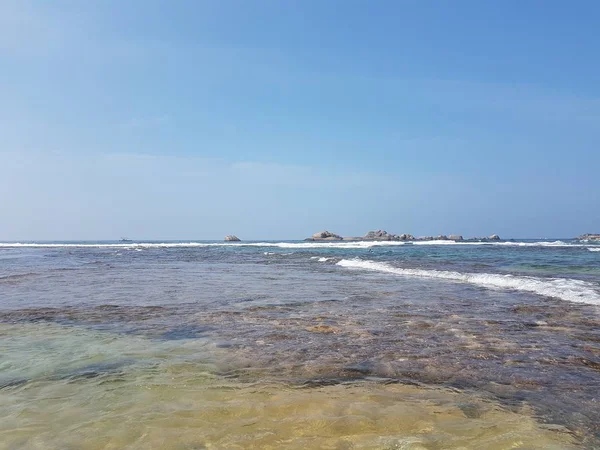 Las algas verdes en la playa y el mar azul —  Fotos de Stock