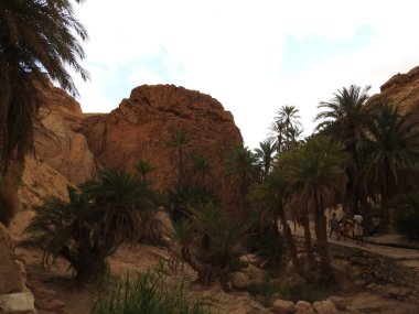 Chebika dağ oasis sınır Sahara, açık mavi gökyüzü, Tunus, Afrika