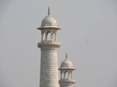 Yakın çekim ayrıntılı Taj Mahal, ünlü tarihi UNESCO tarafından aşk anıt, Hindistan, Agra, Uttar Pradesh en büyük beyaz mermer mezar.