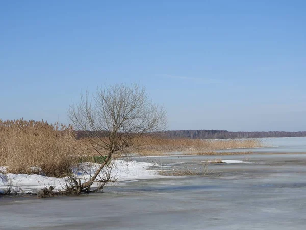 Nikolsky Manastırı Rus Ortodoks Manastırı Pereslavl-Zalessky, Rusya olduğunu. Rusya'nın altın yüzük.