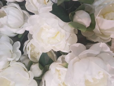 Karışık beyaz bir buket güzel arka plan, pembe ve farklı renkler, yakın çekim.