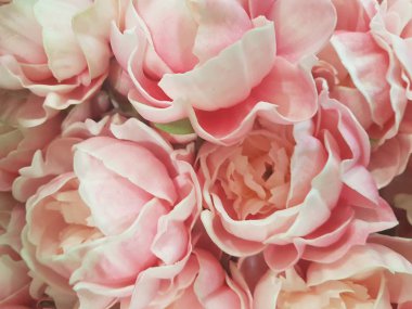 Farklı renklerde çiçek arka plan-Out-of-Focus arka plan.