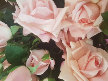 Karışık beyaz bir buket güzel arka plan, pembe ve farklı renkler, yakın çekim.