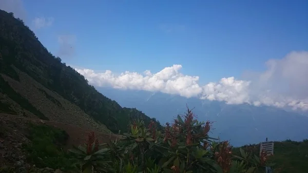 En la ladera de una alta montaña con una pendiente verde y una cima en las nubes y la niebla. Base deportiva y turística en las montañas. Krasnaya Polyana, Sochi, Rusia . —  Fotos de Stock