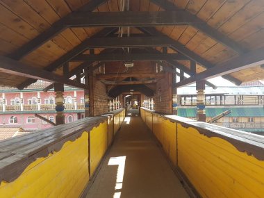 Izmailovo, Moskova, Rusya 'daki Kremlin' in güzel manzarası.