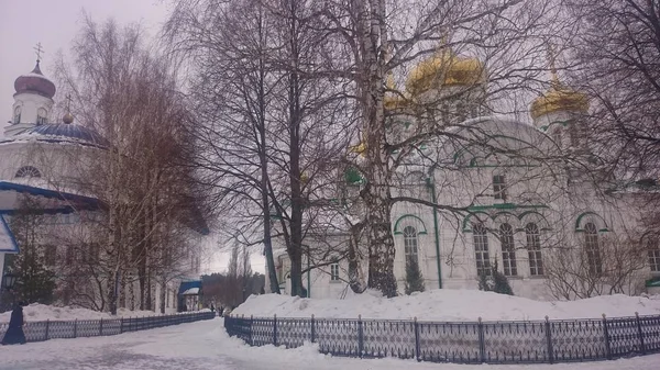Raifsky Bunda Allah Biara di musim dingin . — Stok Foto