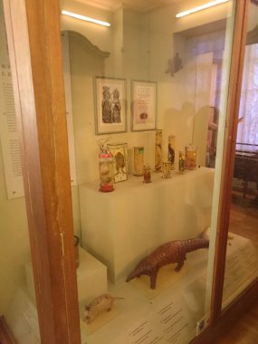 St. Petersburg, Rusya, 21 Eylül 2018. İskeletler, embriyo, mutantlar, Kunstkamera Müzesi 'nde canavarlar, St. Petersburg, Rusya.