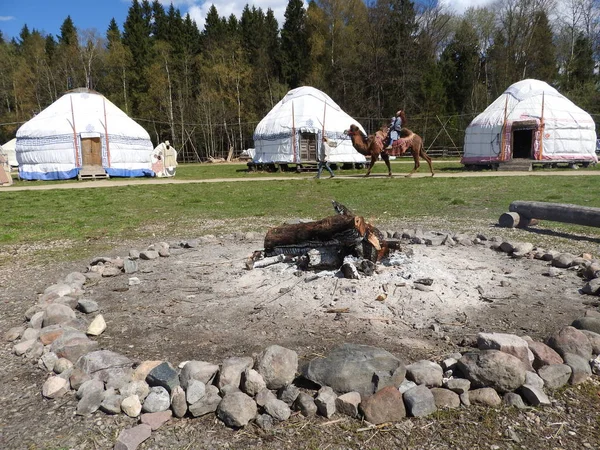 Landskap av jurtor traditionella nomadiska hem för västerländska Mongolians på stäppen med vackra blå himmel bakgrund. — Stockfoto