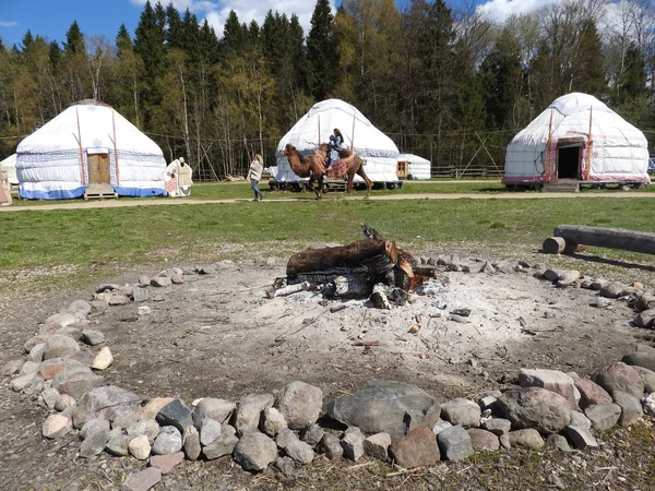 Landskap av jurtor traditionella nomadiska hem för västerländska Mongolians på stäppen med vackra blå himmel bakgrund. — Stockfoto