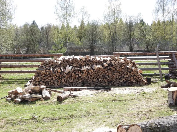 Pile of wood logs ready for winter. — Stock Photo, Image