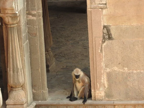 Oba są w słynnym stepwell Chand Baori dobrze we wsi Abhaneri, Rajasthan, Indie. — Zdjęcie stockowe