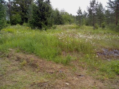 Ruskeala mermer ocağı Rus Karelia güzel park haline dönüştürülmüştür