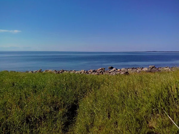 Unieke aard van Big Zayatskyi eiland, dat deel uitmaakt van Solovetsky archipel, Witte Zee, Rusland — Stockfoto