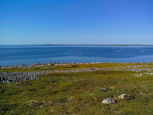 Nature unique de l'île Big Zayatskyi, qui fait partie de l'archipel Solovetsky, mer Blanche, Russie — Photo