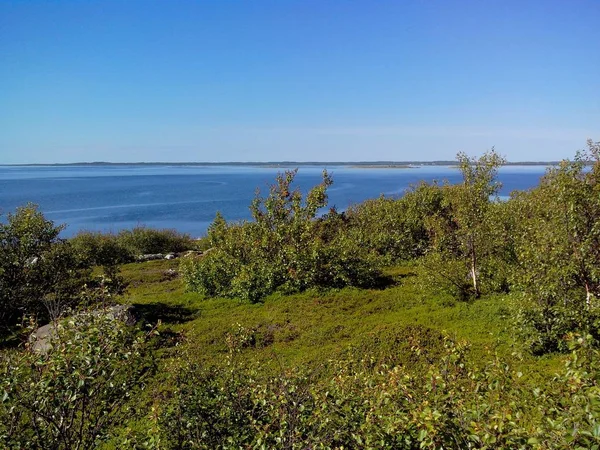 Unik natur af Big Zayatskyi ø, som er en del af Solovetsky øhav, Hvidehavet, Rusland - Stock-foto