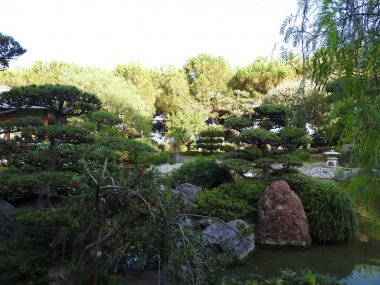 Japon bahçesi veya Jardin Japonais. Monaco 'da Monte Carlo 'da Belediye Halk Parkı