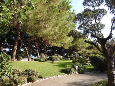 Japon bahçesi veya Jardin Japonais. Monaco 'da Monte Carlo 'da Belediye Halk Parkı