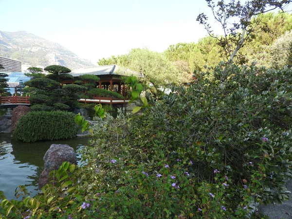 Japonês Jardim ou Jardin Japonais. Parque público municipal em Monte Carlo em Mônaco — Fotografia de Stock