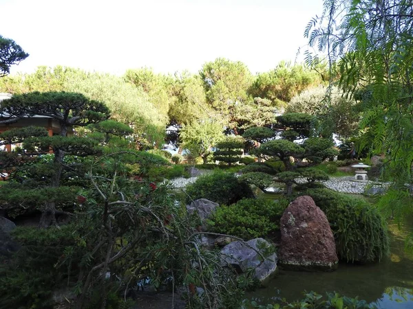 日本花园或日本 Jardin。摩纳哥蒙特卡洛市公共公园 — 图库照片