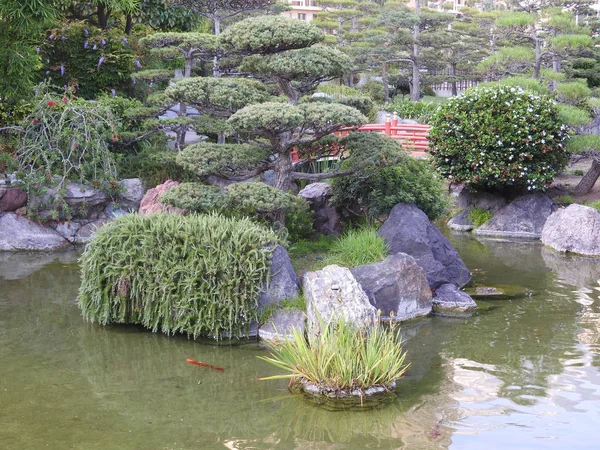 蒙特卡洛日本花园池塘里的五颜六色的鱼 — 图库照片