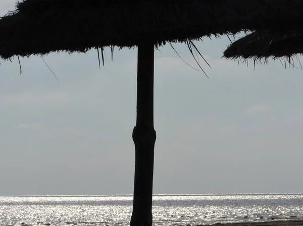 Sombrillas de paja en la playa Túnez Djerba — Foto de Stock