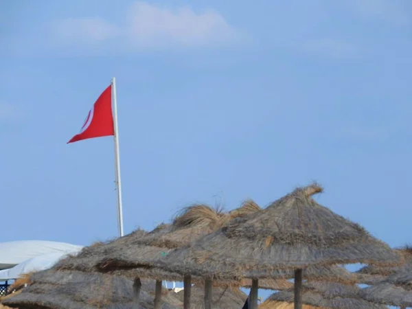 Bandera de Túnez cerca de palmeras en la playa — Foto de Stock