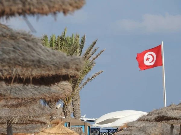 Bandera de Túnez cerca de palmeras en la playa — Foto de Stock