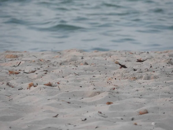 Güzel kumlu ve berrak su plajı, Cerbe adası, Tunus