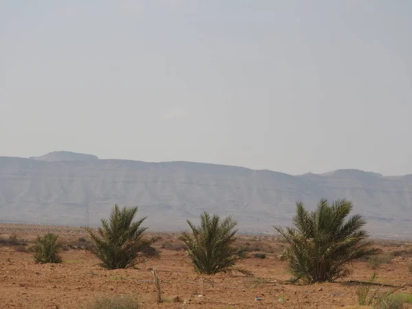 Sanddyner i Sahara, Merzouga Marocko. Gyllene ökendyner. Kullarna i Sahara. Kväll i öknen. Lanscape Marocko. Vacker utsikt — Stockfoto