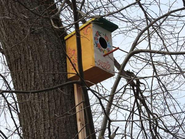 Casa de pájaros en un árbol en el parque forestal, refugio de madera de mano para que las aves pasen el invierno —  Fotos de Stock