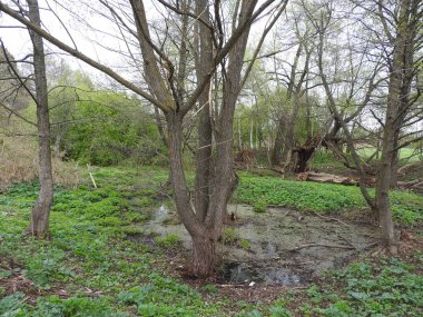 Moskova bölgesinde Grebnevo emlak, bina ve kiliseler Park tasarım elemanları.